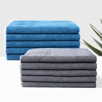 佳百丽 GaBree 佳百丽 洗车毛巾 短绒汽车擦车巾 40*40cm 10条