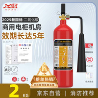 绿消 二氧化碳灭火器 2kg 碳钢