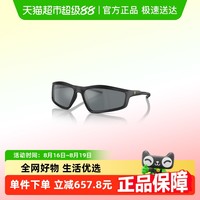 Ferrari 法拉利 0FZ6007U太阳眼镜男通勤户外遮阳运动墨镜