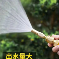 宋林森 家用洗车水枪 高压洗车水管 刷车工具金属水枪银色10米套装