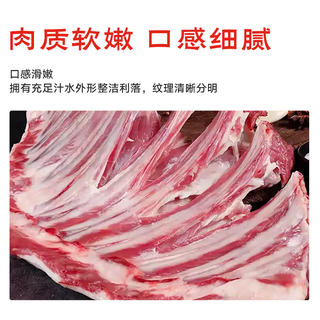 月盛斋 国产原切羔羊排 清真 生鲜羊肉