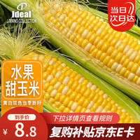 Ideal 理想农业 水果甜玉米种子大田种非转基因高产甜脆可生吃玉米种籽