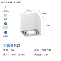 罗曼时光 Romantic Time 罗曼时光 MT101 led射灯 单头 7W 3000K 白色 全光谱