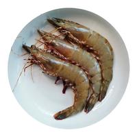 潮海堂海捕大虎虾九节虾深海捕捞红爪虾红虎虾新鲜海鲜水产送礼 海捕 (净重)