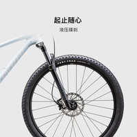 SPECIALIZED闪电 CHISEL HT XC 铝合金越野硬尾减震山地自行车12速液压碟刹 晨雾色/白色 XL