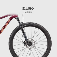 SPECIALIZED闪电 CHISEL HT XC 铝合金越野硬尾减震山地自行车12速液压碟刹 光泽栗色/冰木瓜 S