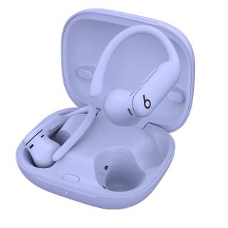 Beats Powerbeats Pro 2 入耳式真无线主动降噪蓝牙耳机 跃动紫