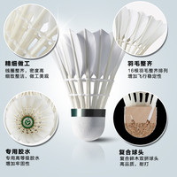 victor胜利羽毛球比赛1/3/5/8号BASE球训练耐打球威克多