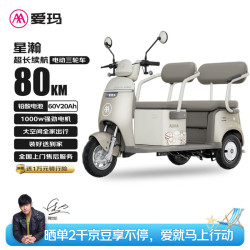 爱玛 电动三轮车星瀚60V20Ah大动力长续航80km家用可带棚小型双座舒适 液态金属银（灰）