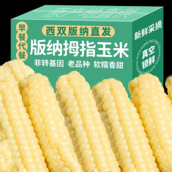 傣小糯 云南西双版纳拇指玉米 2根装