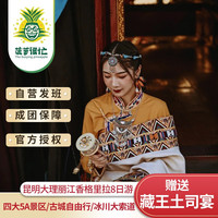 云南旅游昆明大理丽江6天5晚跟团游洱海石林玉龙雪山古城旅游 昆明大理丽江泸沽湖8日游 成人