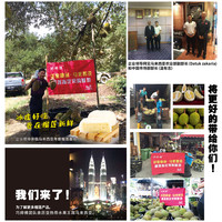 巧师傅猫山王榴莲冰皮月饼礼盒装广式流心水果月饼