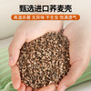 颈椎枕荞麦三角连体枕头护颈椎助睡眠反弓牵引硬枕芯成人护颈
