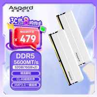 阿斯加特 32GB(16GBx2)套装 DDR5 5600 台式机内存 海拉系列
