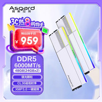 阿斯加特 48GB(24GBx2) DDR5 6000 台式机内存条 女武神·瓦尔基里II代 RGB灯条 镁光颗粒 CL36 极地白