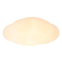 Lighting 雷士 NVC EDCS8388 奶油云朵玄关吸顶灯 22W 分段调光 奶白