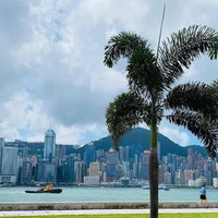 香港+澳门4天3晚跟团游【港澳观光+2日香港自由行|全程4钻酒店|自助午餐|纯玩无购物】 深圳出发-港澳观光4天3晚 平日 儿童（3-11岁不占床）