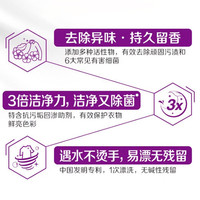 立白 Liby薰衣草香味洗衣粉去污持久留香实惠装家用大小包装