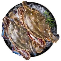 京觅 舟山梭子蟹3-5两/只2斤装 鲜活梭子蟹 保鲜不保活 螃蟹只只精挑 源头直发  3-4两/只 2斤