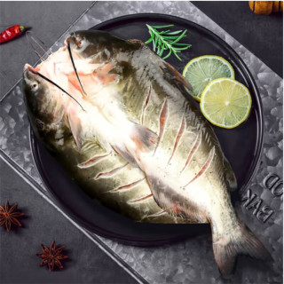 巢三珍 斑点叉尾鮰鱼 400g