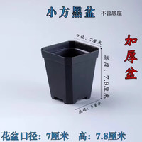 凯天·花航 花盆02 陶瓷花盆 组合盆栽