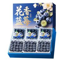 山姆大叔 金奖蓝莓云南L25花香蓝莓年货礼盒水果礼盒装 4盒100g/盒 单果16-18mm