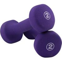 PROIRON 浸塑哑铃 PRO-ZY-JS2 紫色 0.9kg*2