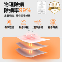 彩虹电热毯双人单人电褥子家用双控调温床店