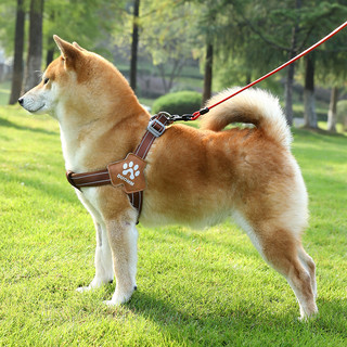 狗狗牵引绳中大型犬胸背带背心式柴犬柯基可调节遛狗绳宠物狗链子