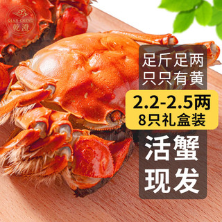 【活蟹】乾澄大闸蟹现货 8只 足斤足两鲜活六月黄螃蟹生鲜源头直发