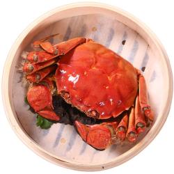 乾澄 大闸蟹 全母2.0-2.3两 8只 足斤足两鲜活六月黄螃蟹生鲜海鲜礼盒装 全母蟹2.0-2.3两 8只