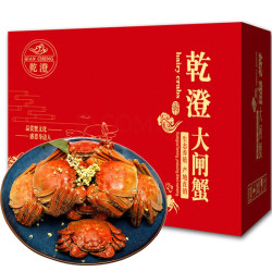 乾澄 鲜活大闸蟹 特大全母蟹3.0-3.3两8只 去绳足重  现货螃蟹海鲜中秋国庆礼盒