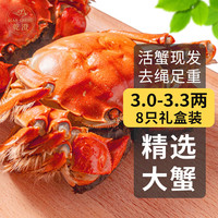 乾澄 大闸蟹 3.0-3.3两 8只去绳足重鲜活六月黄螃蟹海鲜生鲜礼盒装源头直发 六月黄3.1-3.4两 8只