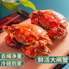 乾澄 大闸蟹 全母2.5-2.8两 6只 足斤足两鲜活六月黄螃蟹生鲜海鲜礼盒装