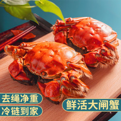 乾澄 大闸蟹 全母2.5-2.8两 6只 足斤足两鲜活六月黄螃蟹生鲜海鲜礼盒装