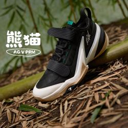 361° 361度 AG 5 PRM 男款篮球鞋