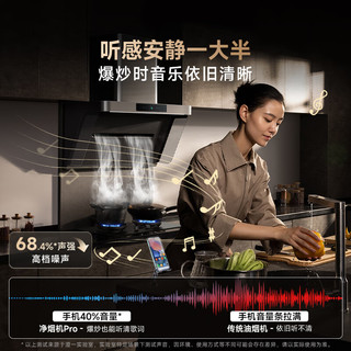 MIJIA 米家 P1 Pro系列 CXW-165-MJ04C 侧吸式吸油烟机 星辰银