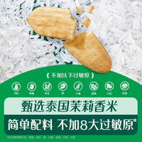 英氏 Engnice）英氏宝宝零食婴幼儿米饼磨牙饼干辅食外出零食 1阶茉莉香米米饼（原味）48g*2