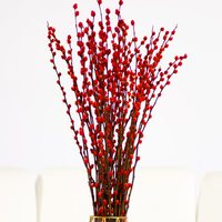 草庄 银柳真花鲜枝年宵花卉红色银柳干花彩色柳枝可水培 60cm喜庆红10支 不含盆