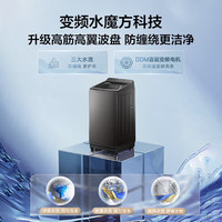 小天鹅 小乌梅2.0 水魔方变频波轮  10公斤水魔方防缠绕 TB10VE20D