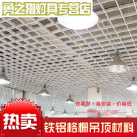 畅玩 格栅吊顶材料自装天花装饰网格棚简易格子方格铝铁塑料隔 铁4白15 铁3黑15*15每平米