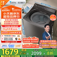 小天鹅 波轮洗衣机全自动 10公斤