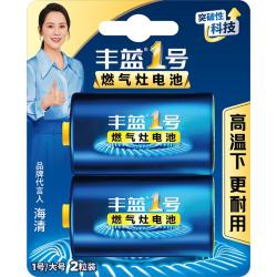 南孚 燃气灶电池 2粒
