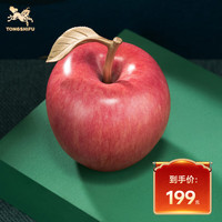 铜师傅 吉祥苹果 全铜摆件 家居装饰 新年礼物