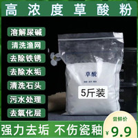 极宝居 草酸粉清洗剂 高浓度强力除垢 家用洗卫生间瓷砖墙面除碱洗渔网 500g