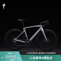 闪电 ROUBAIX SL8 EXPERT 碳纤维电变耐力公路自行车 鸽灰色/青铜变色 49
