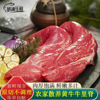 舍曼 新鲜牛里脊整条牛里脊新鲜牛里脊肉原切散养黄牛里脊鲜嫩细腻 内蒙古牛里脊5斤