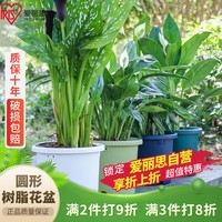 爱丽思 8号花盆塑料圆形树脂多肉花盆种花种菜盆绿萝爱丽丝 浅绿口径26.6cm