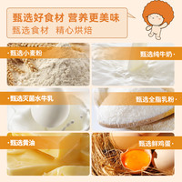 面包新语手撕华夫棒蛋白棒牛乳黄油吐司早餐代餐点心整箱