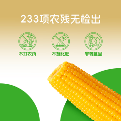 SHENGMU SINCE 2009 圣小牧  有机黑糯玉米富含花青素非转基因独立真空包装